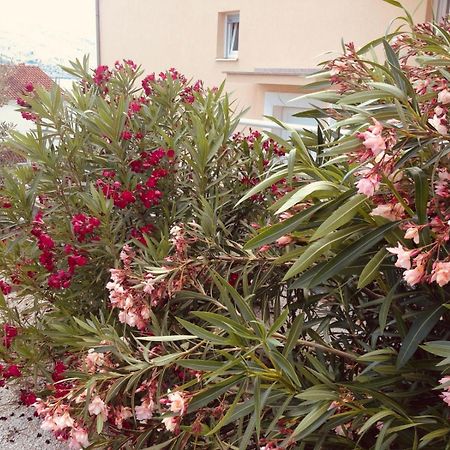 House Agradable Daire Seget Vranjica Dış mekan fotoğraf