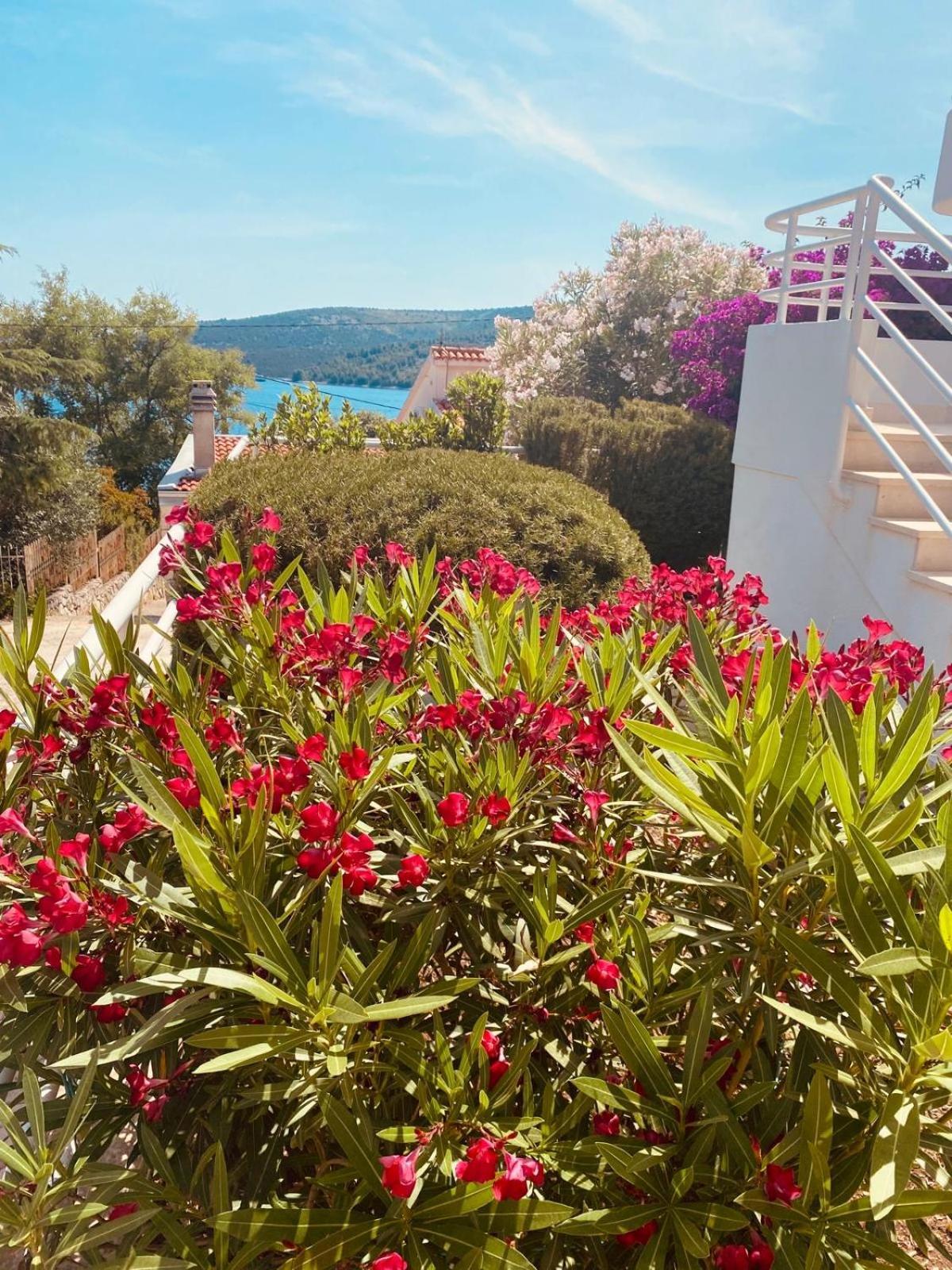 House Agradable Daire Seget Vranjica Dış mekan fotoğraf