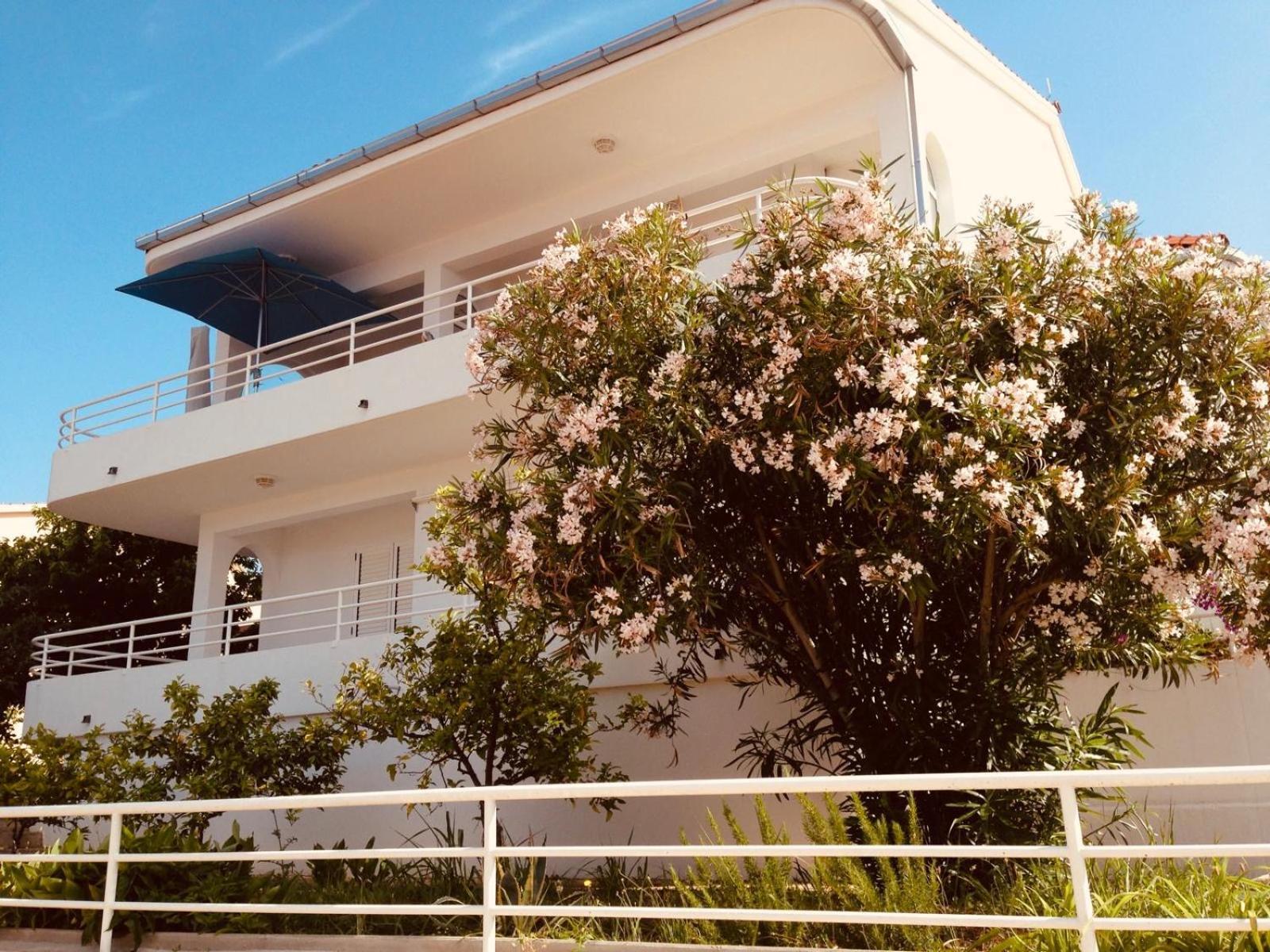 House Agradable Daire Seget Vranjica Dış mekan fotoğraf