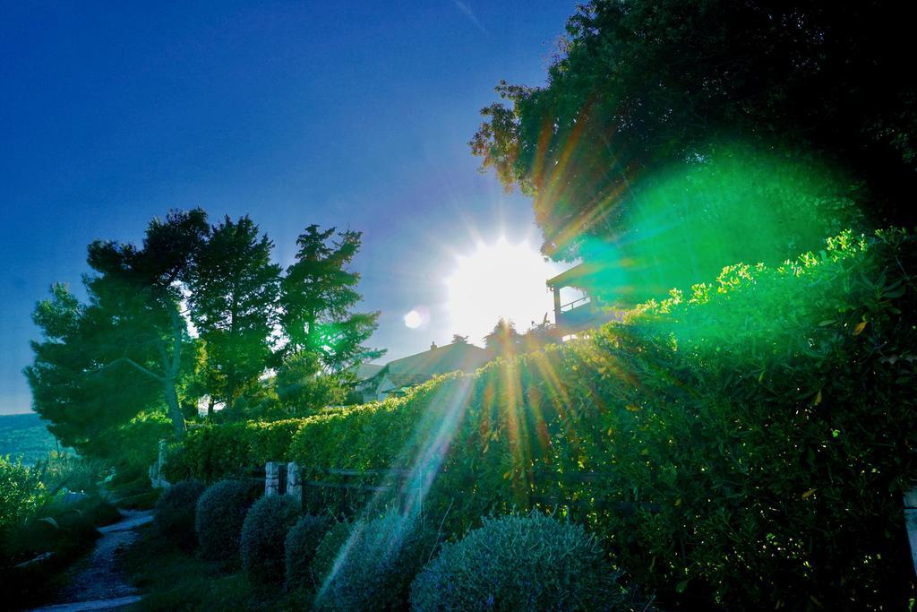 House Agradable Daire Seget Vranjica Dış mekan fotoğraf